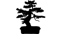 Logo Bonsai Mollet
